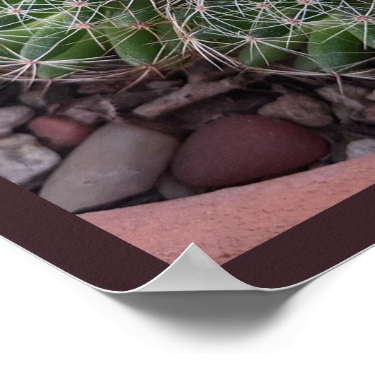 Poster Cactus du désert (Coin)