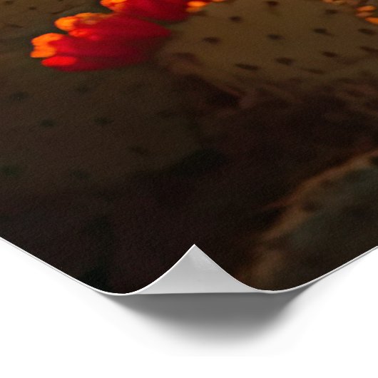 Poster Cactus du désert dans l'art de Bloom AI | Photoréa (Coin)