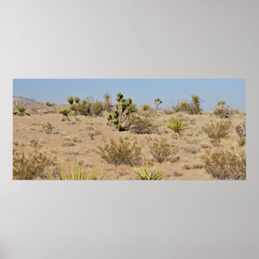 Poster Cactus du désert et Plantes (Devant)