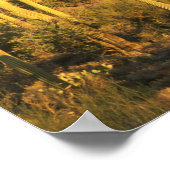 Poster Cactus du Saguaro dans le parc national du Saguaro (Coin)