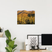 Poster Cactus du Saguaro dans le parc national du Saguaro (Bureau à domicile)