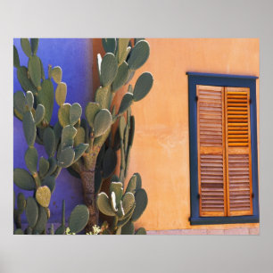 Poster Cactus du sud-ouest (Opuntia dejecta) et