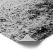 Poster Cactus en sable blanc (Coin)