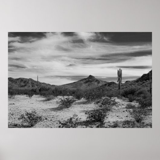 Poster Cactus en sable blanc (Devant)