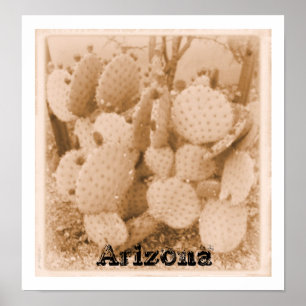Poster cactus en sérigraphie