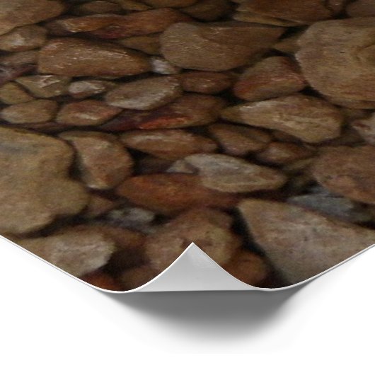 Poster cactus en spirale (Coin)