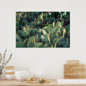 Poster Cactus épineux (Cuisine)