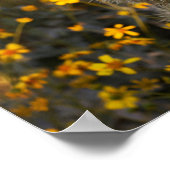 Poster cactus et fleurs sauvages (Coin)