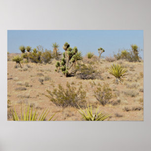 Poster Cactus et plantes de désert