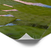 Poster Cactus et sisal en forêt sèche (Coin)