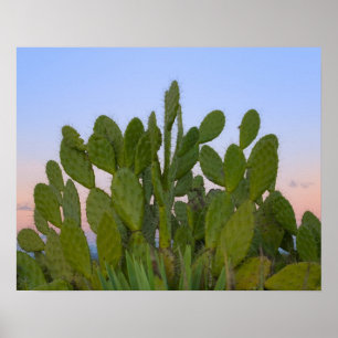 Poster Cactus et sisal en forêt sèche