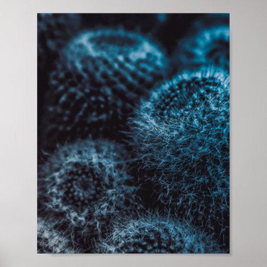 Poster Cactus foncé (Devant)