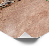 Poster Cactus Garen, Fuerteventura, Îles Canaries, (Coin)