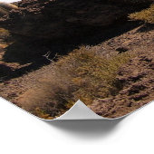 Poster Cactus géant à l'affiche Salar de Uyuni (Coin)