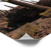 Poster Cactus géant à l'affiche Salar de Uyuni (Coin)