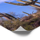 Poster Cactus géant multiarmé Saguaro, Saguaro (Coin)