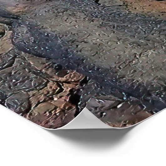 Poster Cactus Lava (Coin)