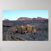 Poster Cactus Lava (Devant)