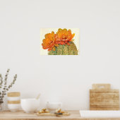 Poster Cactus Orange Blossoms (Cuisine)
