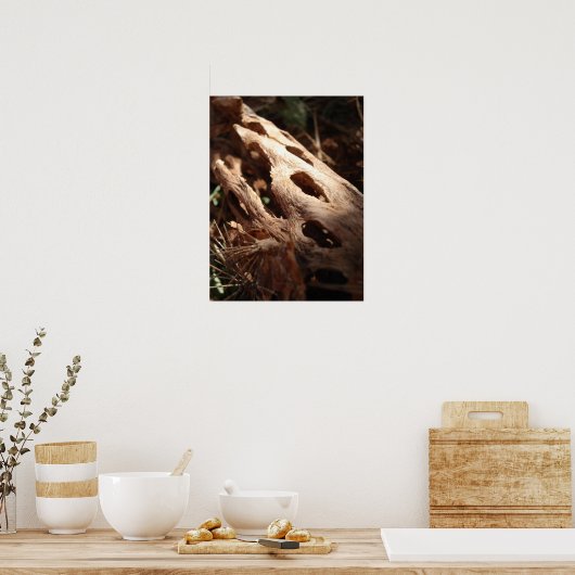 Poster Cactus os (Cuisine)