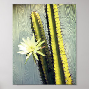 Poster Cactus Plante avec Fleur Photographie Nature Art