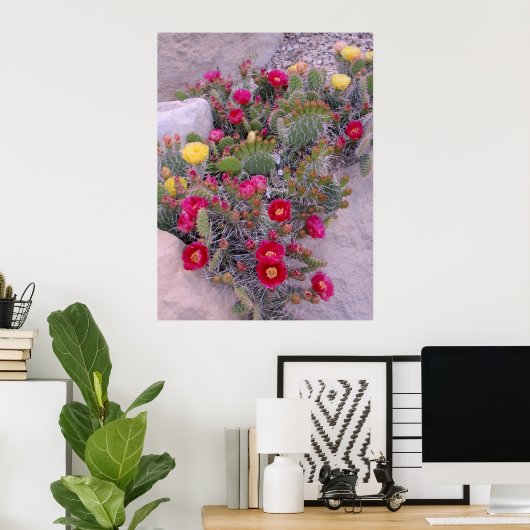 Poster Cactus Prickly Pear (Bureau à domicile)