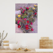 Poster Cactus Prickly Pear (Cuisine)