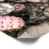 Poster Cactus rose mort (Coin)