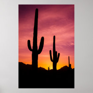 Poster Cactus saguaro au lever du soleil, Arizona