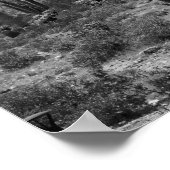 Poster Cactus Saguaro noir et blanc en Arizona 16x20 (Coin)