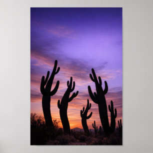 Poster Cactus Silhouettés Se Déplaçant au Crépuscule