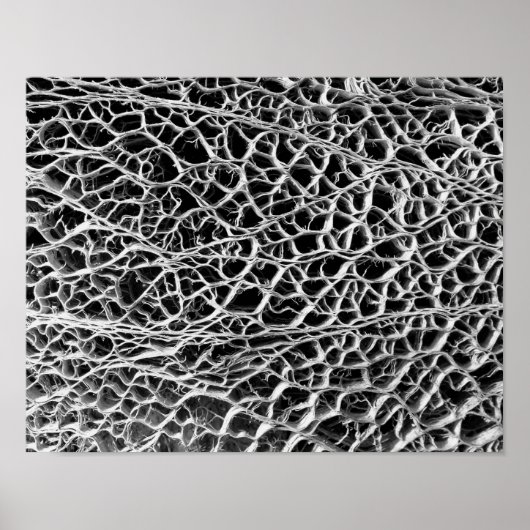 Poster Cactus Skeleton (Devant)