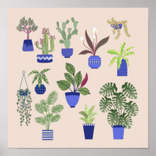 Poster Cactus Succulent Houseplant rose