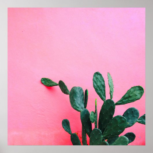 Poster Cactus sur fond rose (Devant)