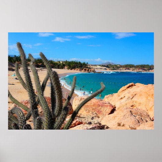 Poster Cactus Sur Une Colline Rocheuse Au-Dessus De La Pl (Devant)