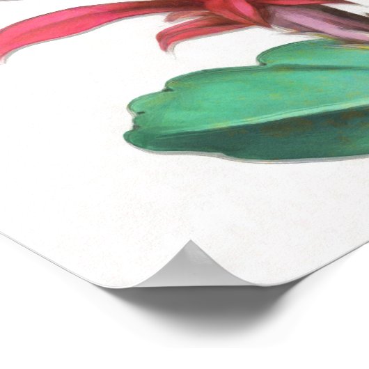 Poster Cactus vert rouge en fleurs (Coin)