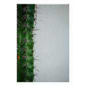 Poster Cactus verts devant un mur blanc (Devant)