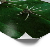 Poster Cactus verts devant un mur blanc (Coin)