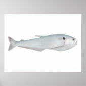 Poster Cacunda (Devant)