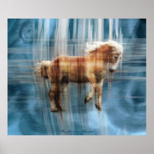 Poster Cadeau belge à cheval équin