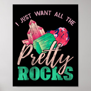 Poster Cadeau collectionneur de roches Terre Paléontologu