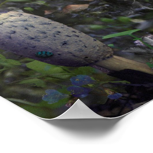 POSTER CADEAU DES FÊTES (Coin)