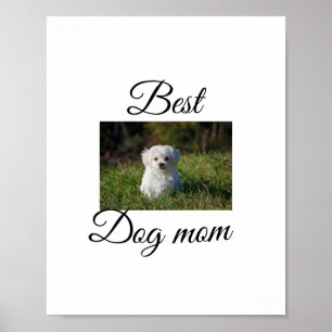 Poster Cadeau simple et coloré d'animal avec nom photo ch