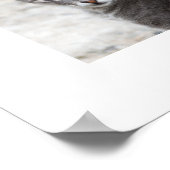 POSTER CADEAUX (Coin)