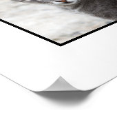 POSTER CADEAUX (Coin)