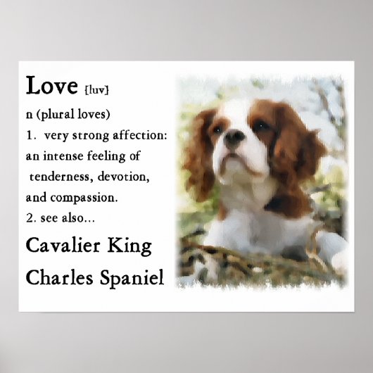 Poster Cadeaux Cavalier King Charles Spaniel (Devant)