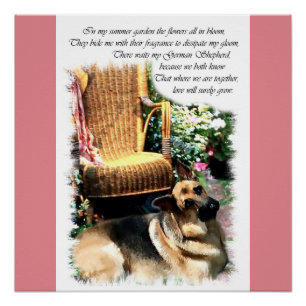 Poster Cadeaux d'amour berger allemand
