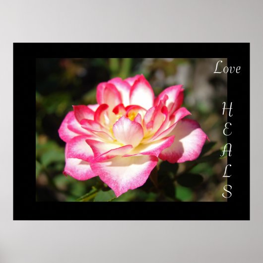 Poster Cadeaux d'art d'impression Love HEALS Fleurs Rose (Devant)