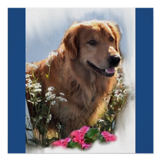 Poster Cadeaux d'art Golden Retriever (Devant)