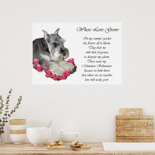 Poster Cadeaux d'art Schnauzer miniature Imprimés (Cuisine)